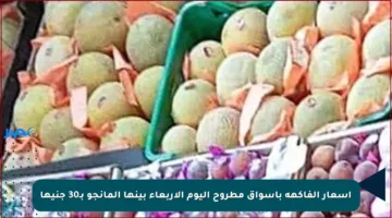 أسعار الفاكهة بأسواق مطروح اليوم الأربعاء بينها المانجو بـ30 جنيها